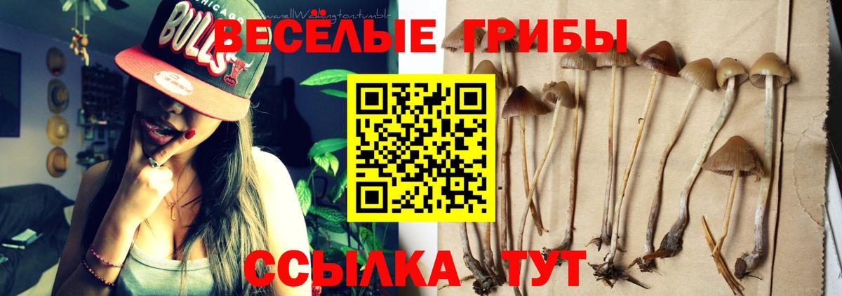 цены наркотик  Галлюциногенные грибы Cubensis  Вход с VPN  Елабуга 